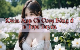 kwin app cá cược bóng đá trực tuyến