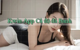 kwin app cá độ đá banh