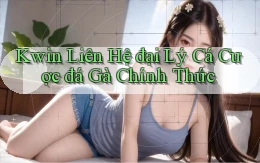 kwin  liên hệ đại lý cá cược đá gà chính thức