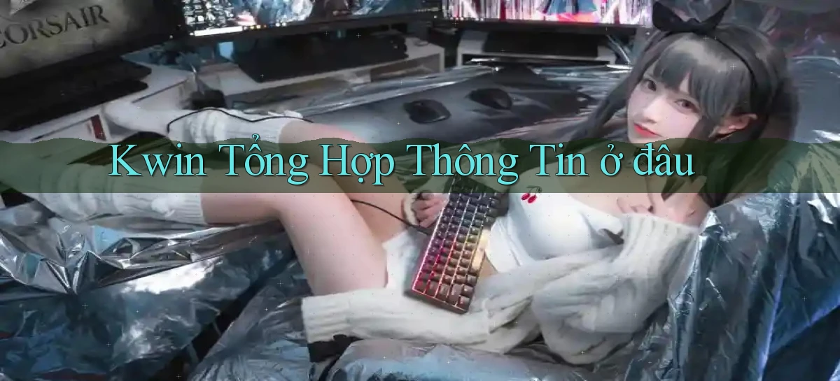kwin tổng hợp thông tin ở đâu