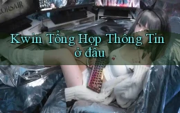 kwin tổng hợp thông tin ở đâu
