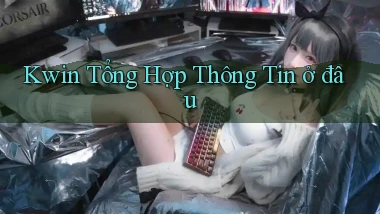 kwin tổng hợp thông tin ở đâu