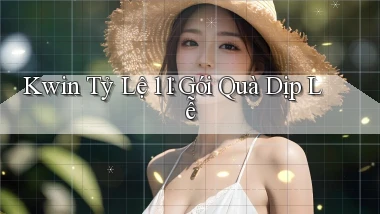 kwin tỷ lệ 1：1 gói quà dịp lễ