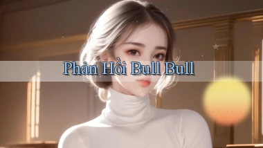 Phản hồi Bull Bull