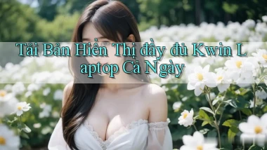 tải bản hiển thị đầy đủ kwin laptop cả ngày