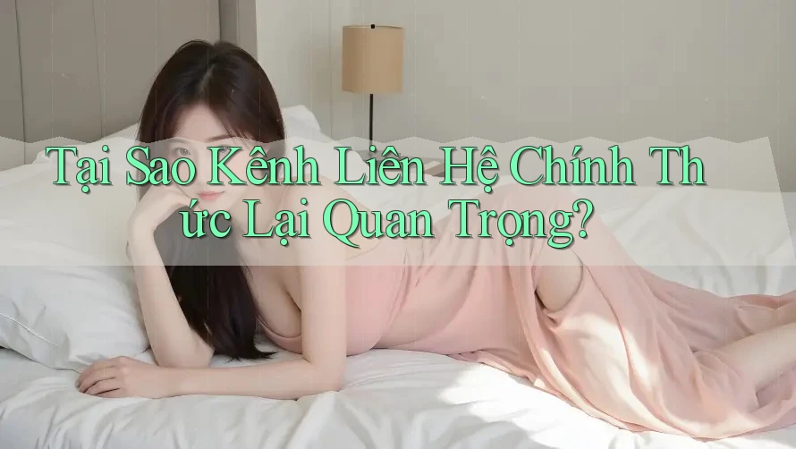 Tại Sao Kênh Liên Hệ Chính Thức Lại Quan Trọng?